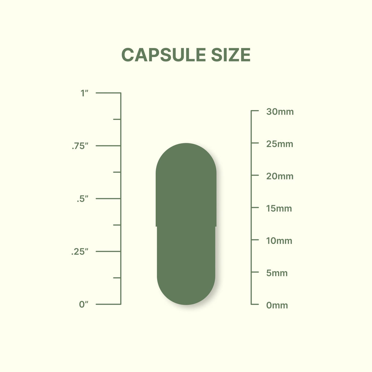 Dr. Murray's Vitamin K2-D3-A-E Liquid Vegan Capsules - Synergistic Fat-Soluble Blend | Bone, Vascular & Immune Support | Third-Party Tested | Clean Formulation | No Artificial Additives | 30 Count