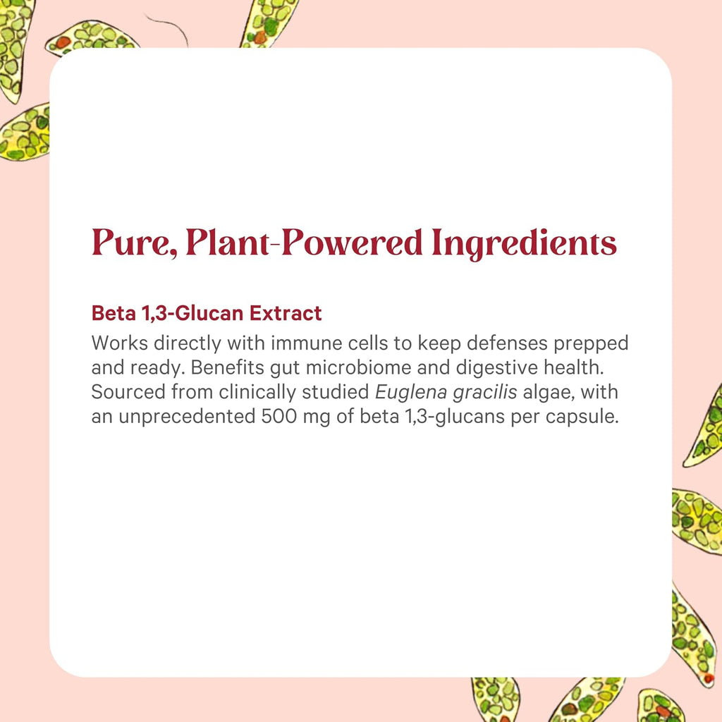 PURE SYNERGY SuperPure Beta 1,3-Glucan Extract | 500 mg Beta 1,3-Glucan Supplement from Algae | Yeast-Free, Non-GMO, Standardized Extract | Supports Immune Health & Digestion (60 Capsules)