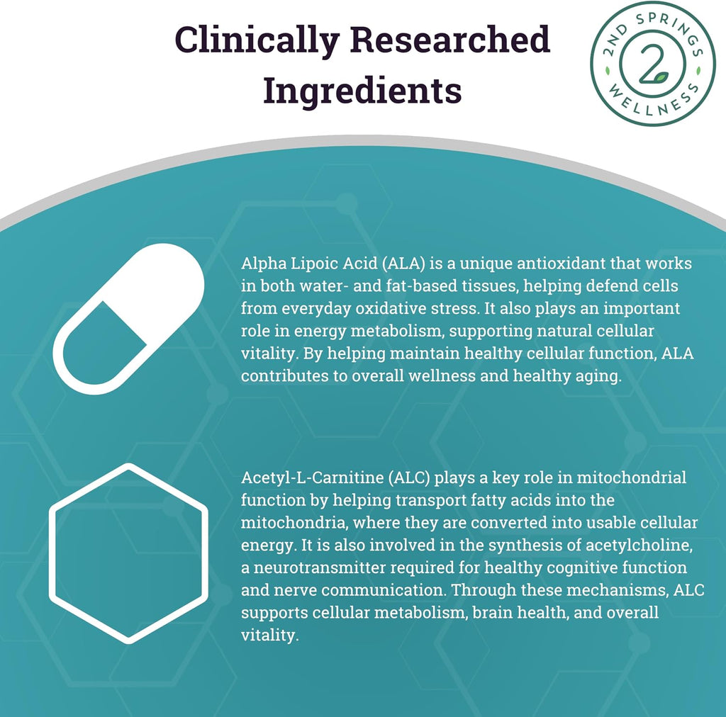 ALA & ALC Complex + 7 Mushroom Complex Bundle | Energy, Focus, Cognitive Support, Immunity, Metabolism & Daily Vitality