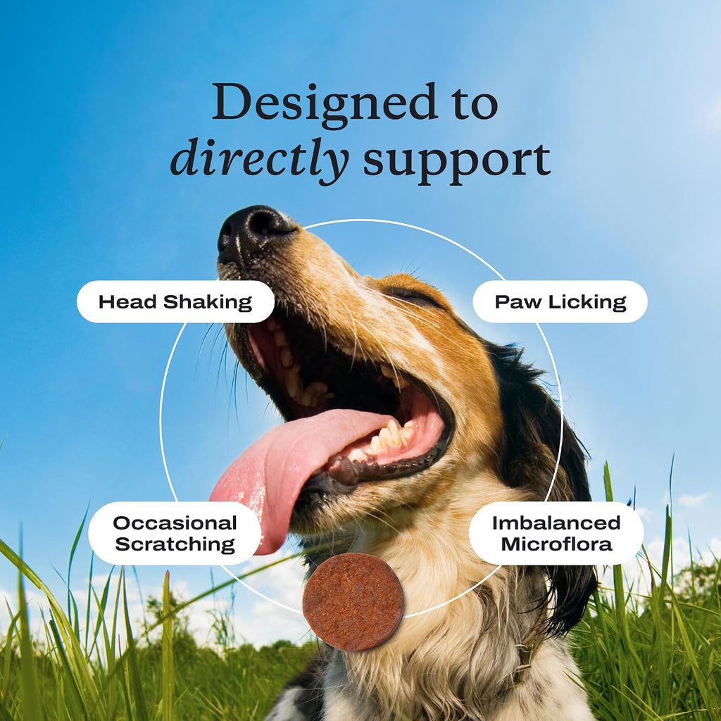 PetLab Co. – Seasonal Allergy Support & Dental Care in One Routine - Allergy & Immune Chews + ProBright Dental Powder for Total Wellness Inside & Out - Small Dogs