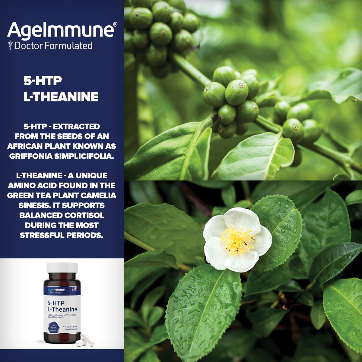 5-HTP 100mg with L-Theanine 400 mg Formula for Stress Relief and Relaxation Support for Teens and Adults with Vitamins B6 - B12 and Magnesium Bisglycinate - Doctor Formulated – without stearates.