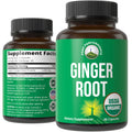 USDA Organic Ginger Root Extract Liquid Drops. Zero Sugar, Non Bitter Vegan Ginger Oil Supplement for Immune, Digestive + Gut Support. High Bioavailability, Gluten Free for Women and Men. Take Orally - PrimeBioHealth - canada supplements