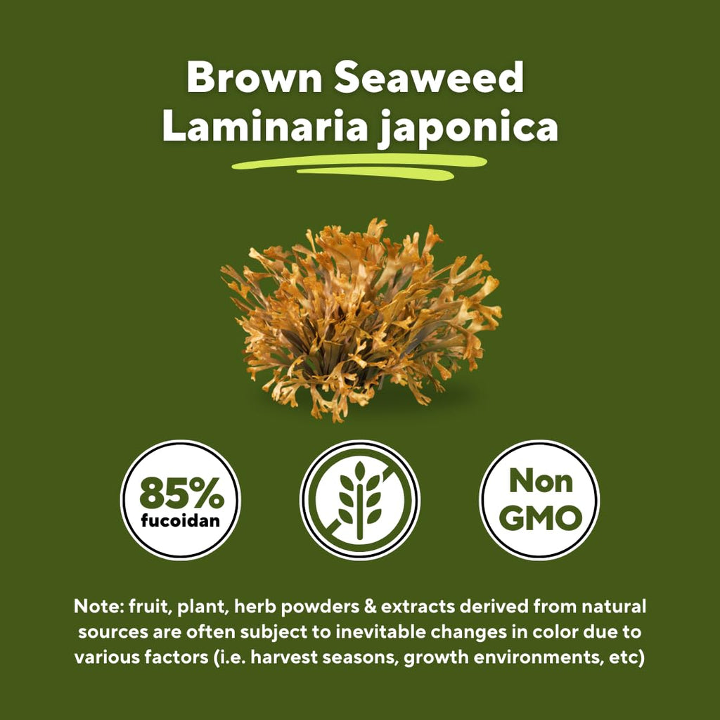 Vitapia Pure Fucoidan 85% Brown Seaweed Extract for Immune, Strong Cellular Health, Digestive Support - 1000mg Fucoidan Per Serving - 120 Veggie Capsules Non-GMO, Gluten-Free, Vegan-Friendly - PrimeBioHealth - canada supplements